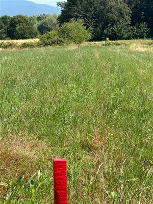 terreno agricolo in vendita a Casciana Terme Lari in zona Quattro Strade