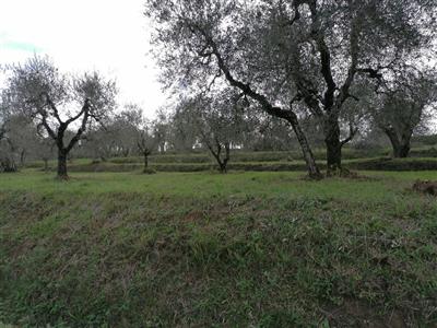 terreno agricolo in vendita a Casciana Terme Lari in zona Orceto