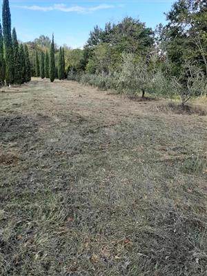 terreno agricolo in vendita a Casciana Terme Lari in zona San Ruffino