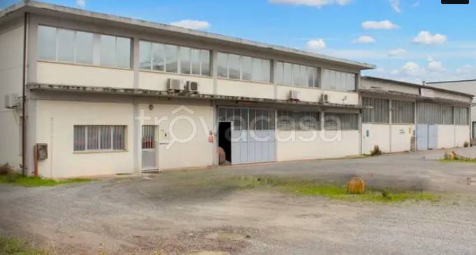 capannone in vendita a Casciana Terme Lari in zona Perignano