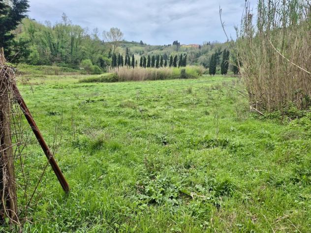 terreno agricolo in vendita a Casciana Terme Lari in zona San Ruffino