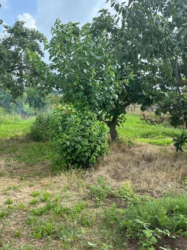casa indipendente in vendita a Casciana Terme Lari