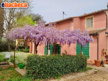casa indipendente in vendita a Casciana Terme Lari in zona Perignano