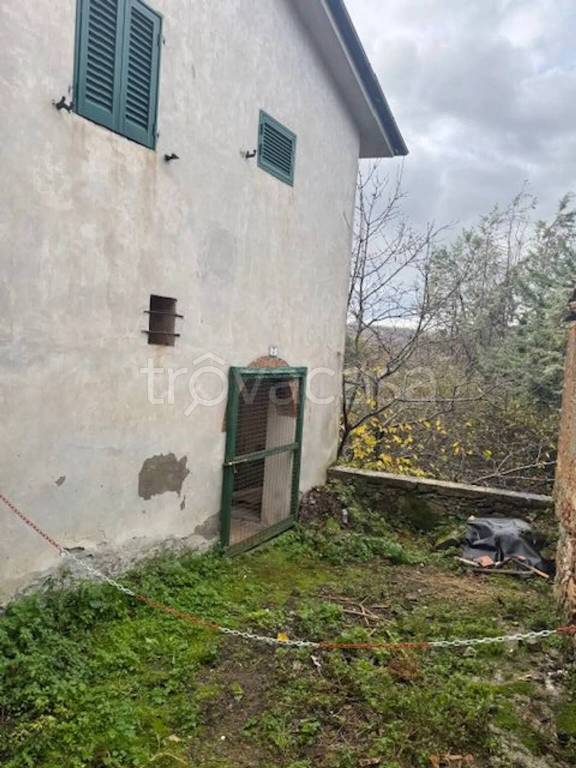 casa indipendente in vendita a Casciana Terme Lari in zona Collemontanino
