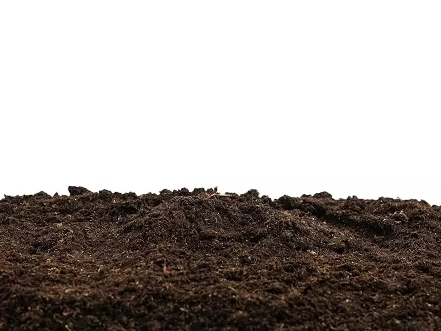 terreno agricolo in vendita a Casciana Terme Lari in zona Perignano