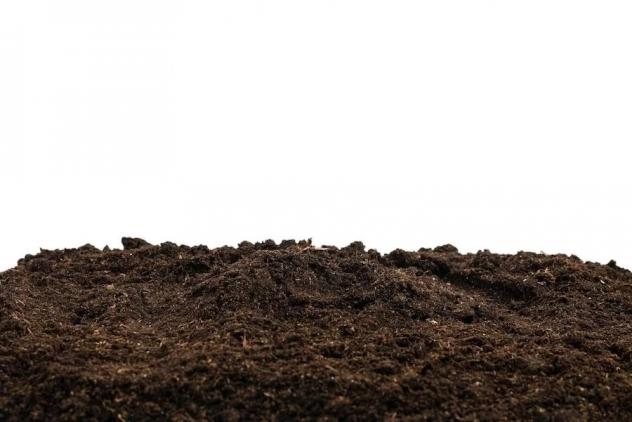 terreno agricolo in vendita a Casciana Terme Lari in zona Perignano