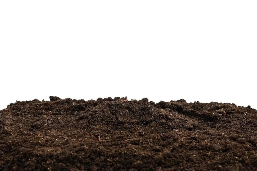 terreno agricolo in vendita a Casciana Terme Lari in zona Perignano