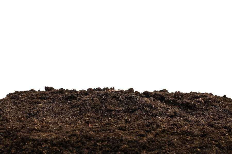 terreno agricolo in vendita a Casciana Terme Lari in zona Perignano