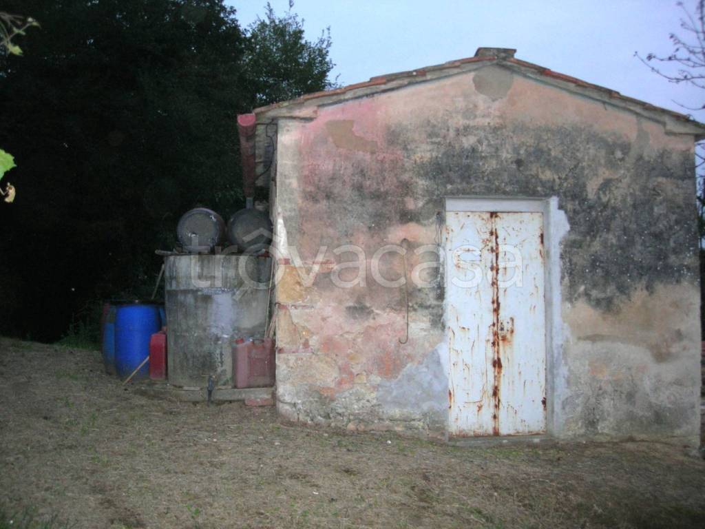 terreno agricolo in vendita a Casciana Terme Lari