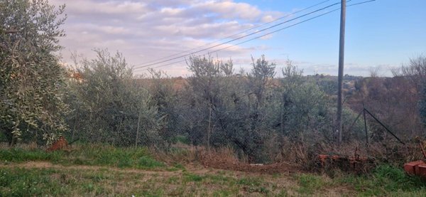 casa indipendente in vendita a Casciana Terme Lari in zona Lari