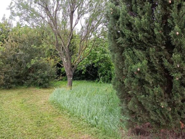 terreno agricolo in vendita a Casciana Terme Lari in zona Casciana Alta