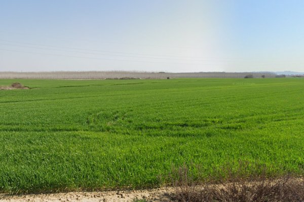 terreno industriale in vendita a Casciana Terme Lari