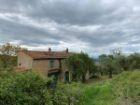 terreno agricolo in vendita a Casciana Terme Lari