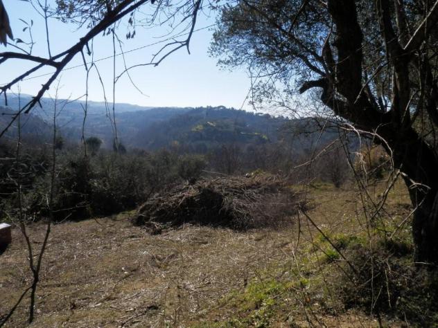 terreno agricolo in vendita a Casciana Terme Lari in zona Lari