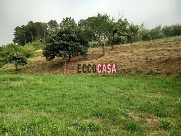 terreno agricolo in vendita a Casciana Terme Lari in zona Cevoli