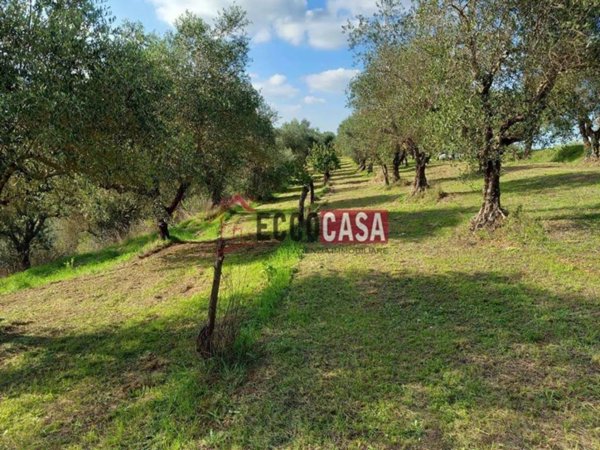 terreno agricolo in vendita a Casciana Terme Lari in zona Cevoli