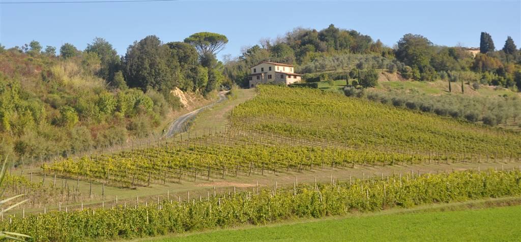 negozio in vendita a Casciana Terme Lari in zona Lari