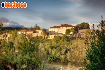appartamento in vendita a Casciana Terme Lari in zona Cevoli