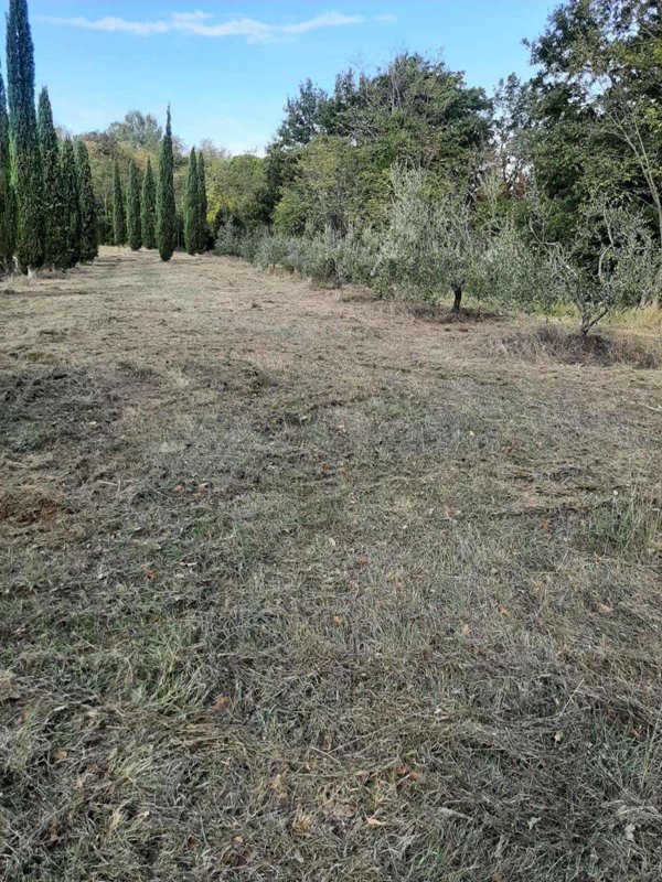 terreno agricolo in vendita a Casciana Terme Lari in zona San Ruffino