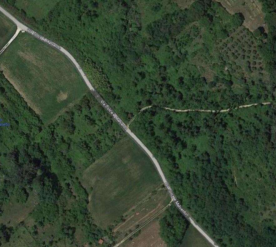 terreno agricolo in vendita a Casciana Terme Lari