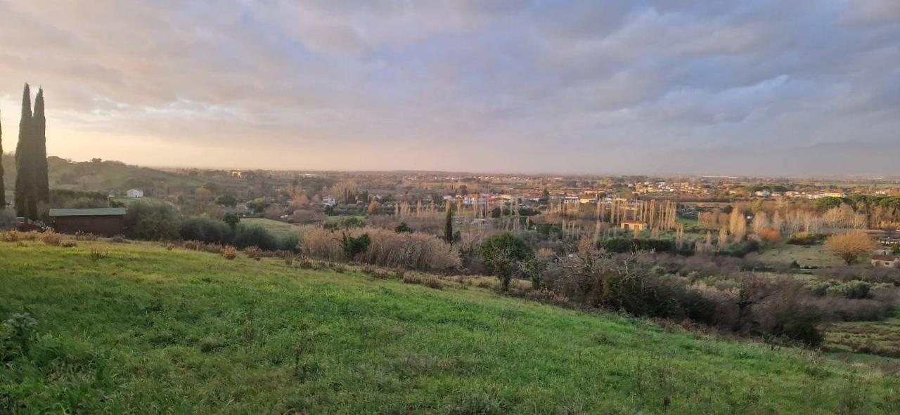 casa indipendente in vendita a Casciana Terme Lari in zona Lari