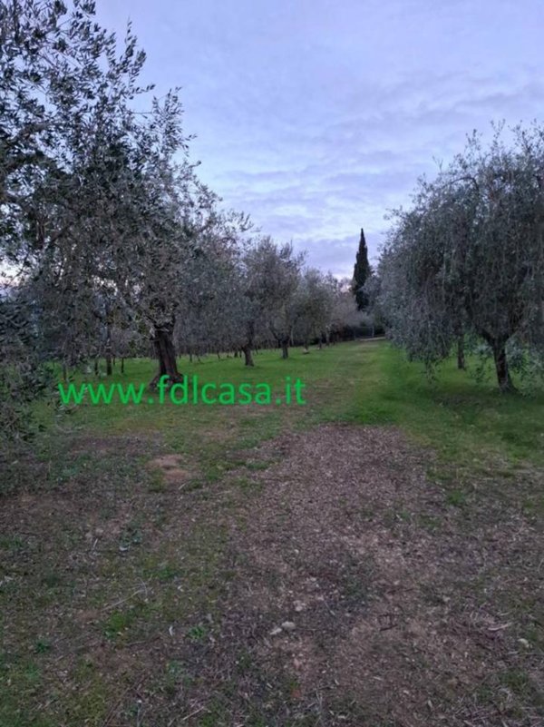 terreno agricolo in vendita a Casciana Terme Lari
