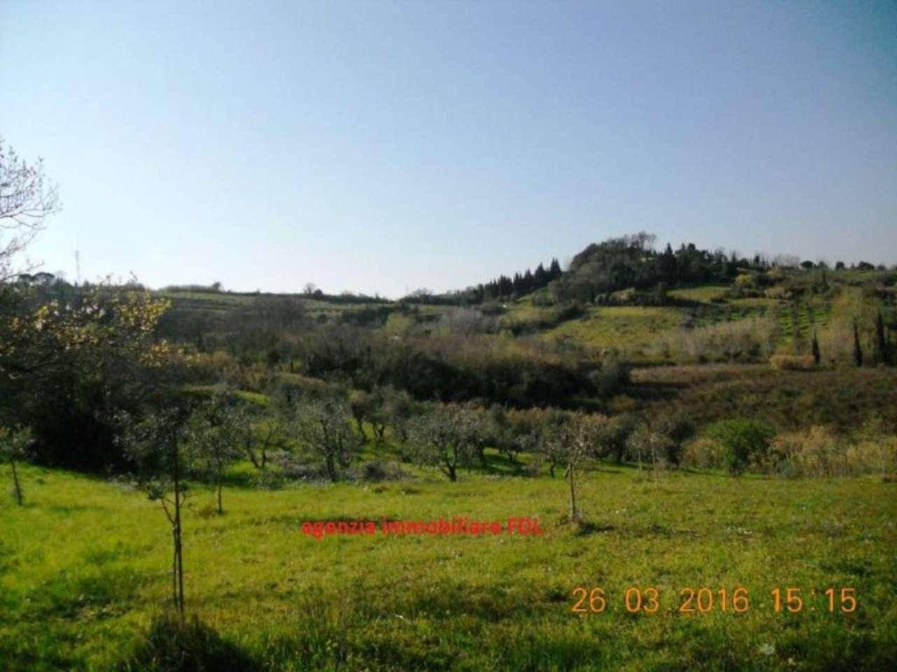 terreno agricolo in vendita a Casciana Terme Lari