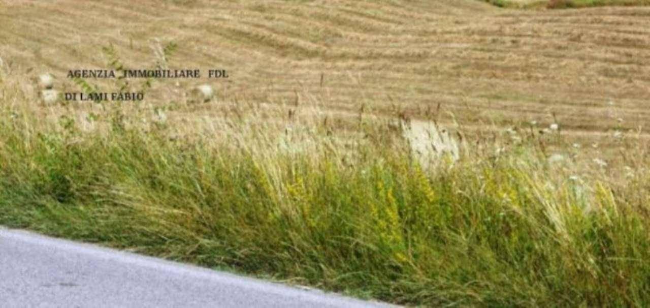 terreno agricolo in vendita a Casciana Terme Lari