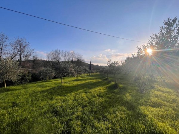 terreno agricolo in vendita a Casciana Terme Lari in zona Perignano