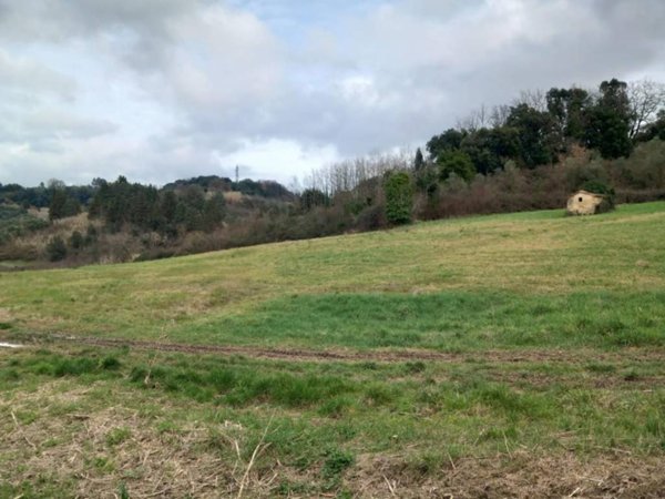 terreno agricolo in vendita a Casciana Terme Lari in zona Casciana Alta