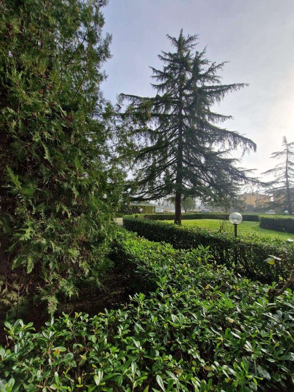appartamento in vendita a Casciana Terme Lari in zona Perignano