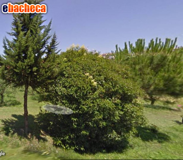 appartamento in vendita a Casciana Terme Lari in zona Casciana Terme