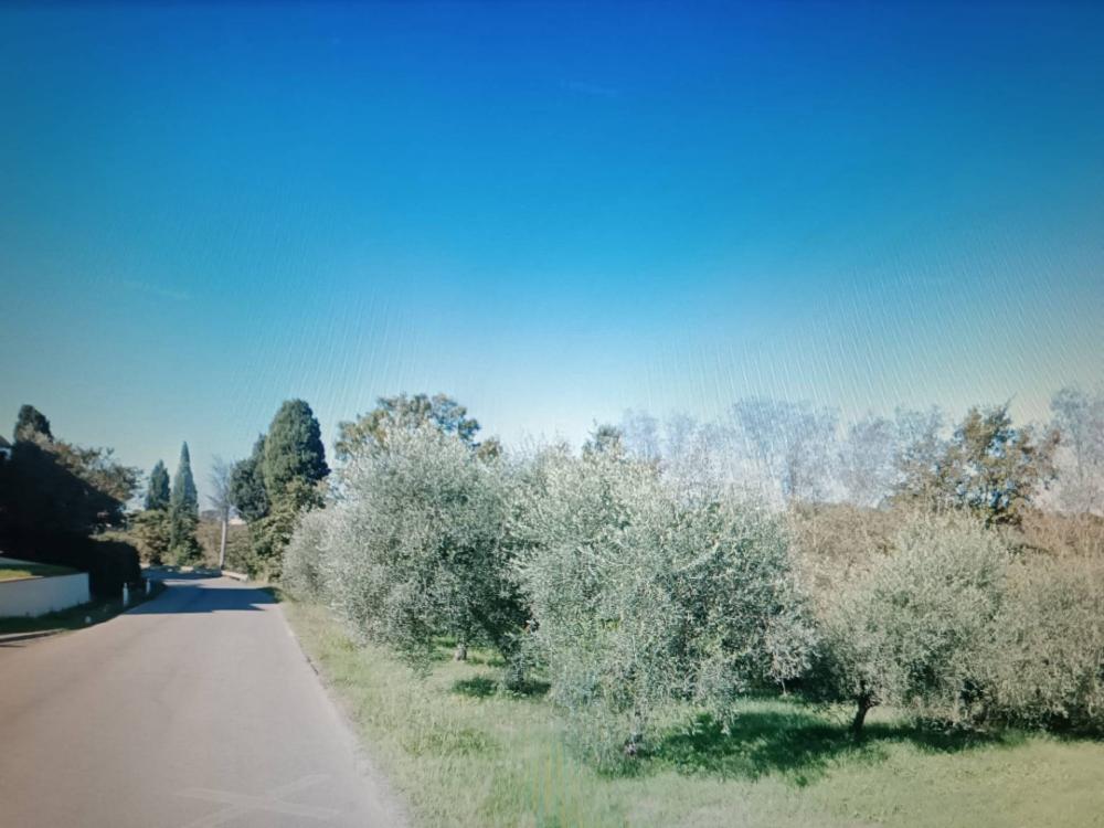 casa indipendente in vendita a Casciana Terme Lari in zona San Ruffino