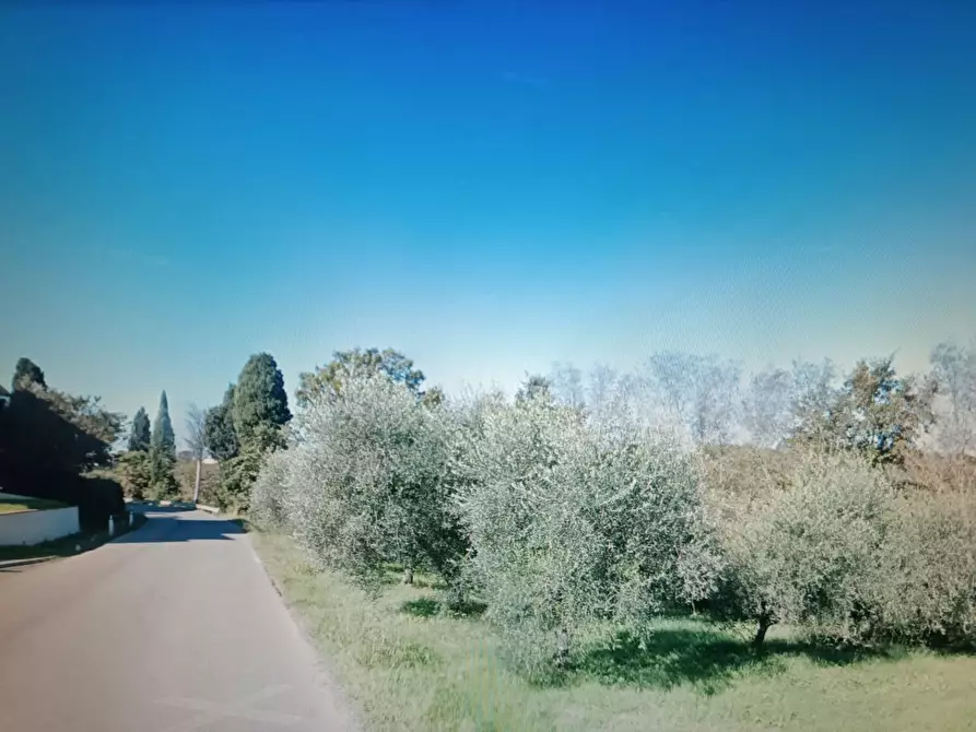 casa indipendente in vendita a Casciana Terme Lari in zona San Ruffino