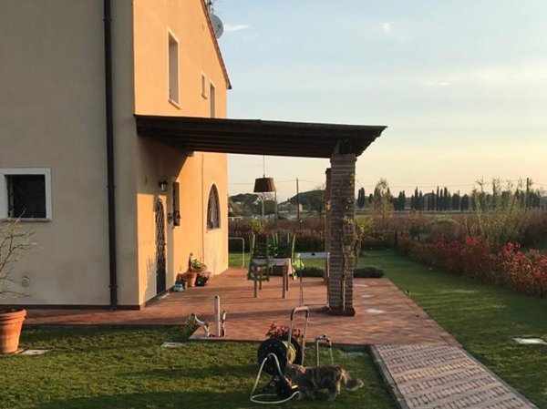 casa indipendente in vendita a Casciana Terme Lari in zona Perignano
