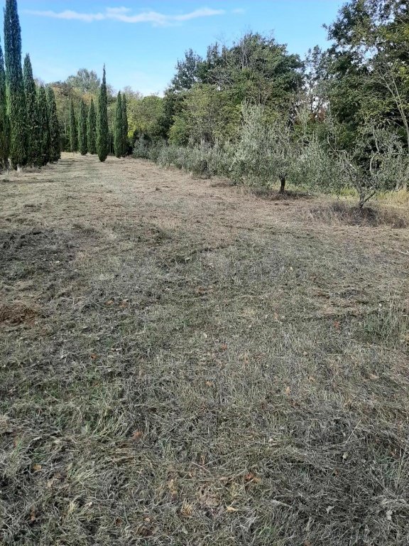 terreno agricolo in vendita a Casciana Terme Lari in zona Lari