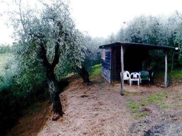 terreno agricolo in vendita a Casciana Terme Lari in zona Casciana Alta