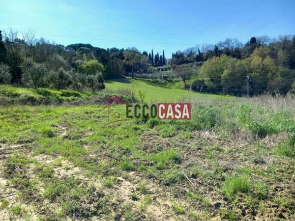 terreno agricolo in vendita a Casciana Terme Lari in zona Lari