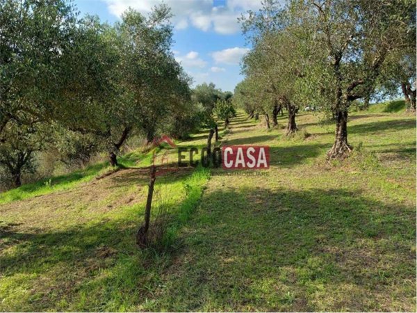 terreno agricolo in vendita a Casciana Terme Lari in zona Cevoli