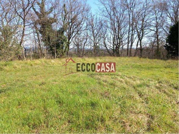 terreno agricolo in vendita a Casciana Terme Lari in zona San Ruffino