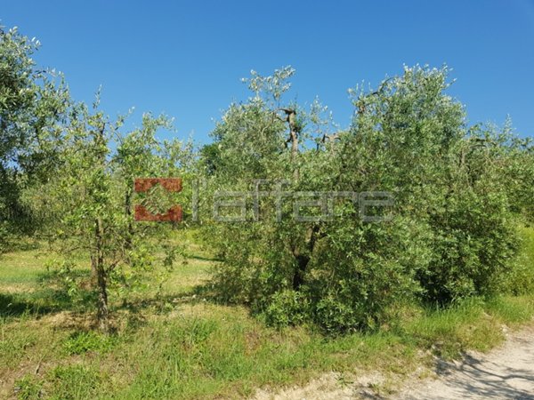 negozio in vendita a Casciana Terme Lari in zona Casciana Terme