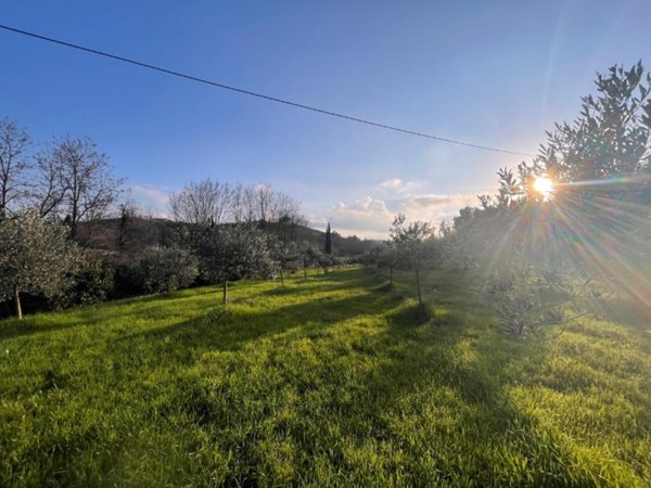 terreno agricolo in vendita a Casciana Terme Lari in zona Perignano