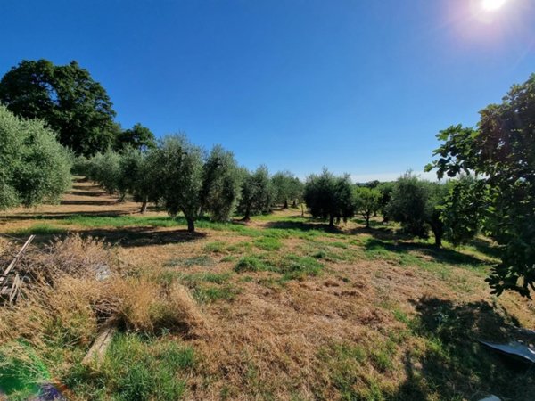 terreno agricolo in vendita a Casciana Terme Lari
