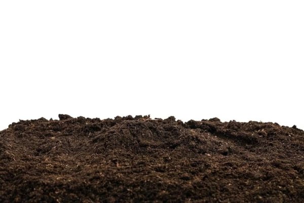 terreno agricolo in vendita a Casciana Terme Lari in zona Perignano