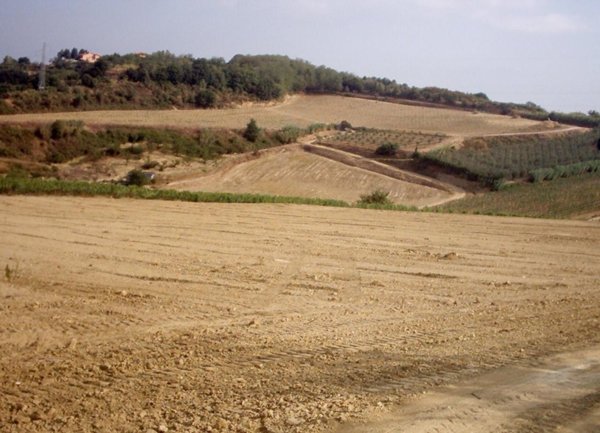 terreno agricolo in vendita a Casciana Terme Lari in zona Lari