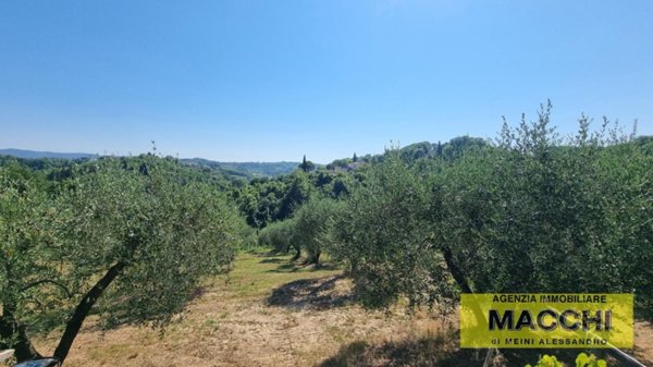 terreno agricolo in vendita a Casciana Terme Lari in zona Lari