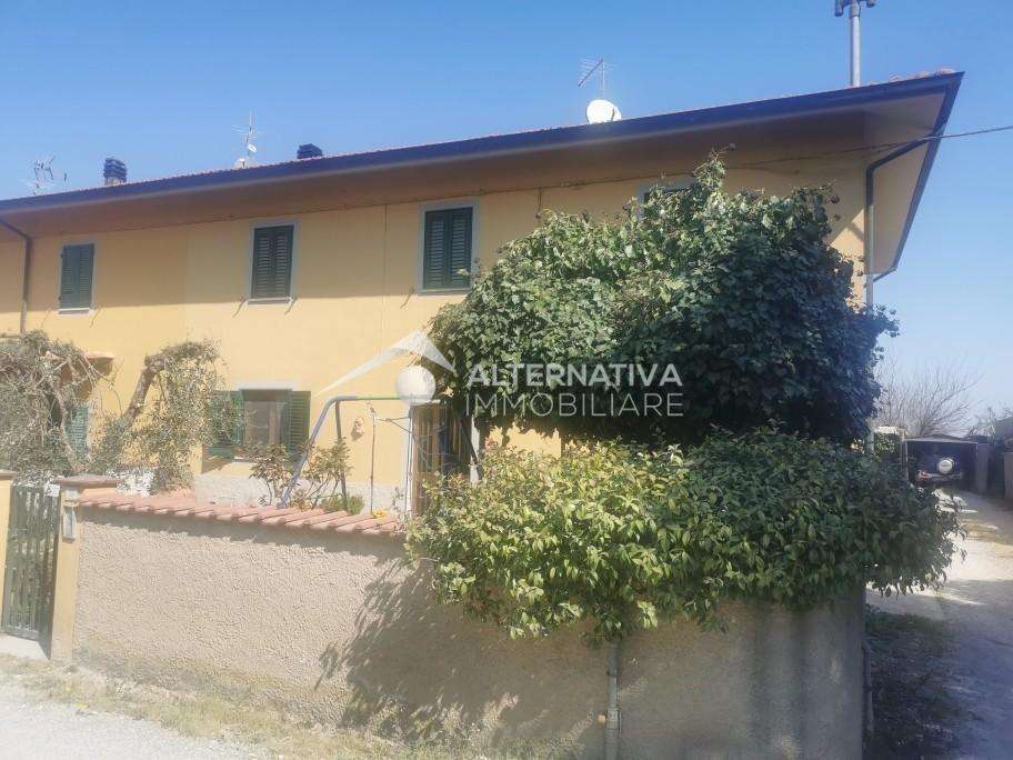 immagine annuncio 0 di 12