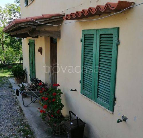 casa indipendente in vendita a Casciana Terme Lari in zona Usigliano