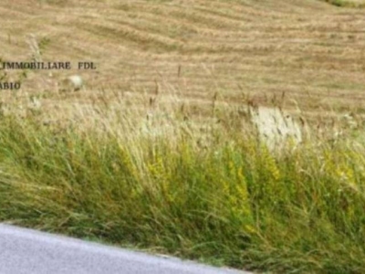 terreno agricolo in vendita a Casciana Terme Lari