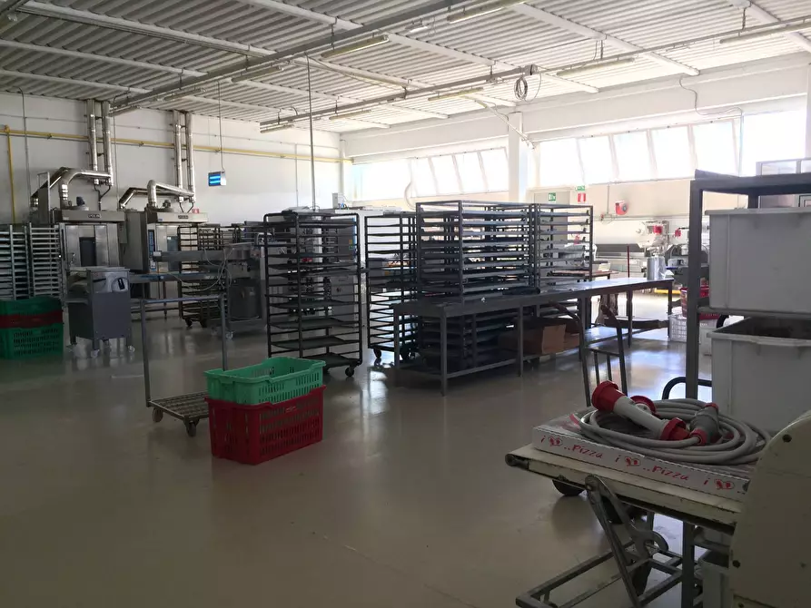 negozio in vendita a Casciana Terme Lari